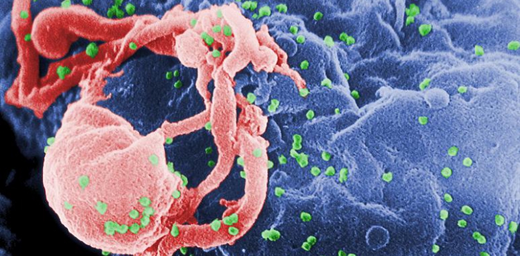 Virüslere karşı bağışıklık sistemi nasıl güçlendirilir?