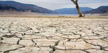 Avrupa, son 2 bin yılın en sıcak ve kurak dönemini yaşıyor