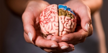Araştırma: Kişiliğiniz beyninizi koruyor ya da yaşlandırıyor