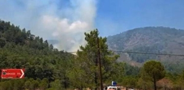 Marmaris'ten sonra Köyceğiz'de de orman yangını çıktı
