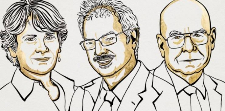 Nobel Kimya Ödülü, ‘klik kimyası’nın gelişimi için çalışan üç bilim insanına