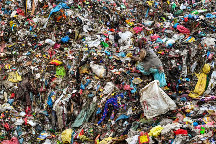 Çevresel sorunları gündeme getirmek ve iklim değişikliği konusunda farkındalık yaratmak amacıyla her yıl düzenlenen 'Yılın En İyi Çevre Fotoğrafçısı' yarışmasının bu yılki kazananları belli oldu.