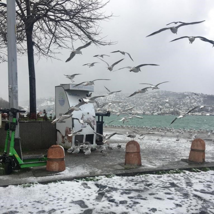 İstanbul'da etkili olan kar yağışı fotoğraflara yansıdı.
