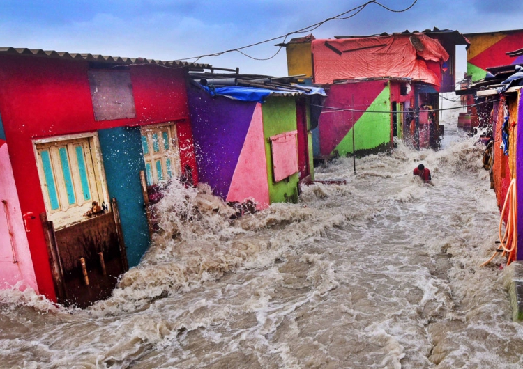 Çevresel sorunları gündeme getirmek ve iklim değişikliği konusunda farkındalık yaratmak amacıyla her yıl düzenlenen 'Yılın En İyi Çevre Fotoğrafçısı' yarışmasının bu yılki kazananları belli oldu.