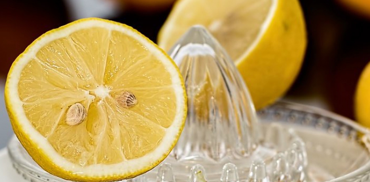 Limon ihracatında izin şartı kaldırıldı