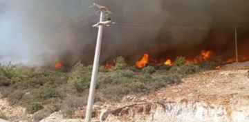 Muğla'da çıkan orman yangını kontrol altına alındı