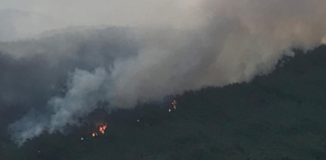 Muğla'da orman yangını kontrol altında