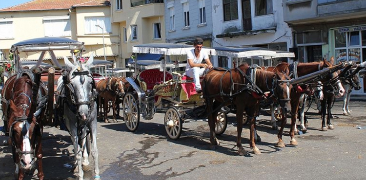 Valilikten ‘Fayton’ kararı: 3 ay süreyle durduruldu