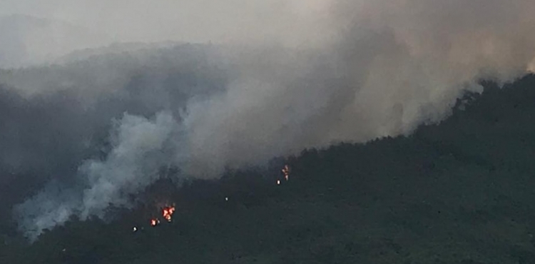 Muğla'da orman yangını kontrol altında