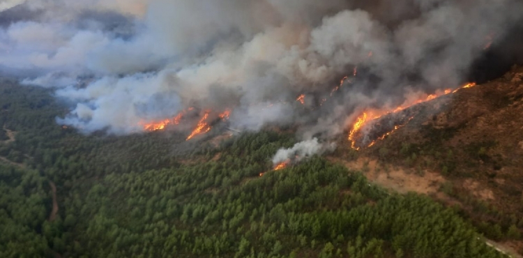 Marmaris’te orman yangını